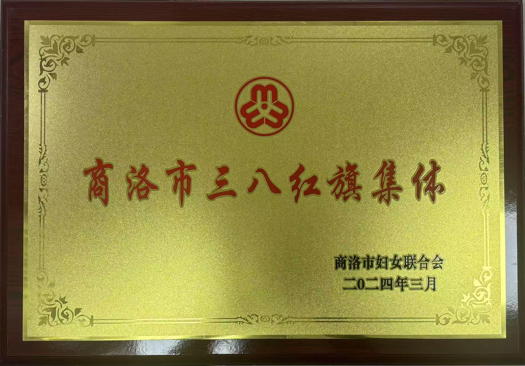 商洛市三八红旗集体